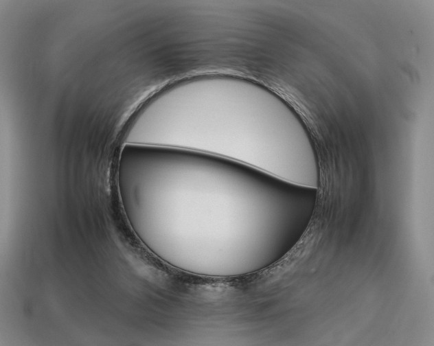 X0000113850112200909241013