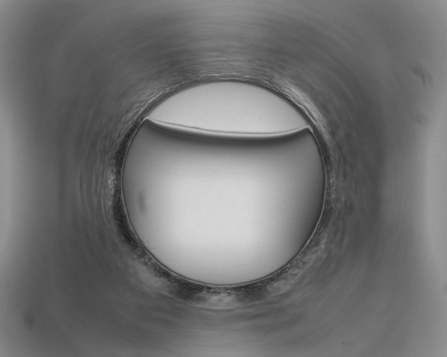 X0000113850113200909241013