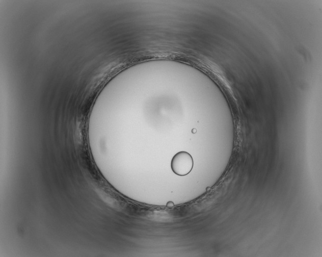 X0000113850114200909241013