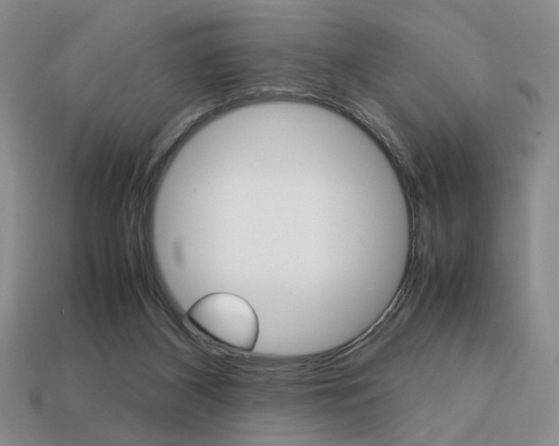 X0000113850116200909241013