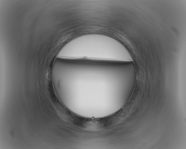 X0000113850119200909241013