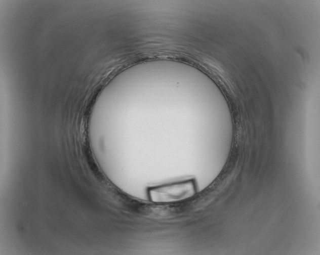 X0000113850121200909241013