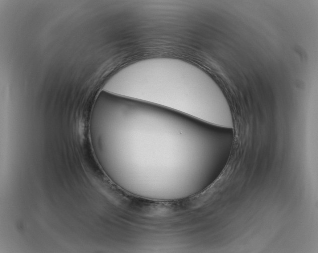 X0000113850124200909241013