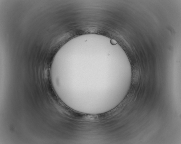 X0000113850126200909241013