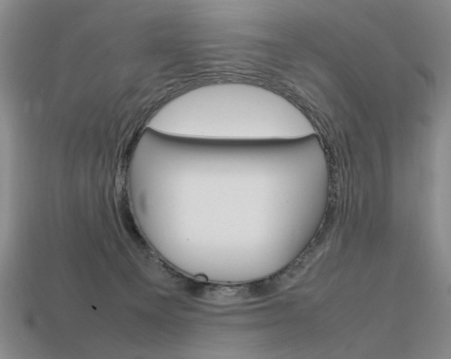 X0000113850129200909241013