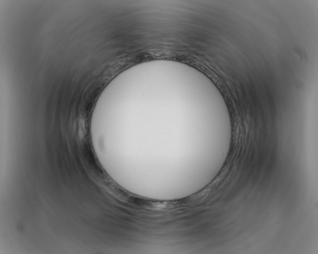 X0000113850130200909241013