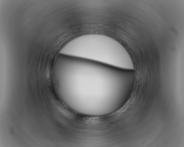 X0000113850132200909241013