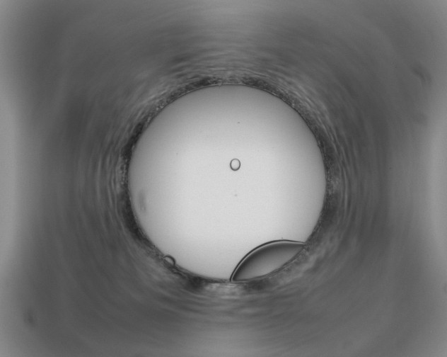 X0000113850133200909241013