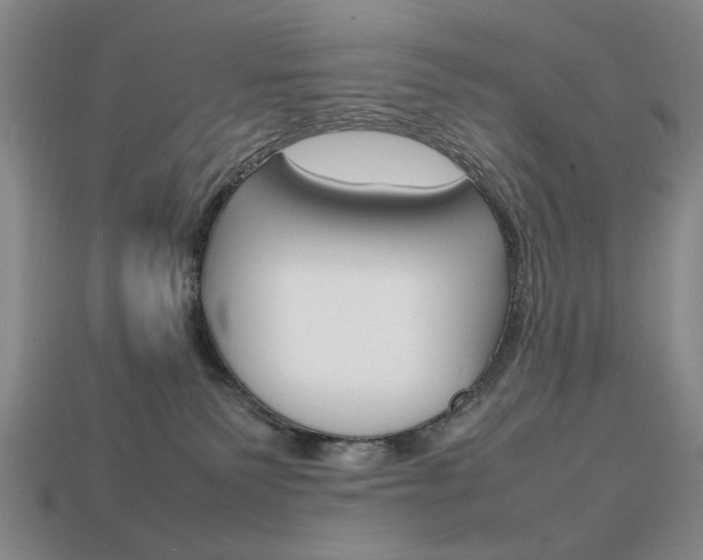 X0000113850135200909241013