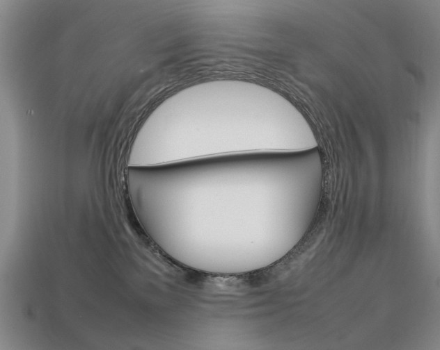 X0000113850137200909241013