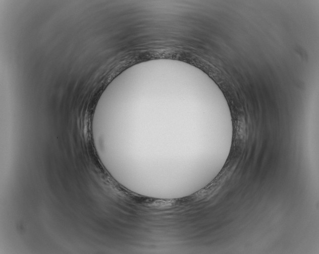 X0000113850138200909241013