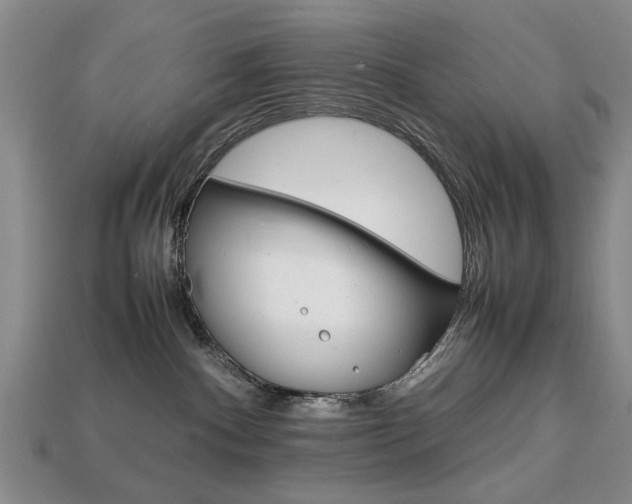 X0000113850140200909241013