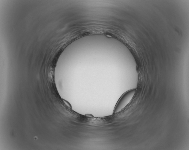 X0000113850141200909241013