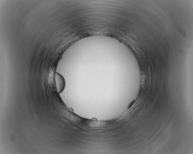 X0000113850142200909241013