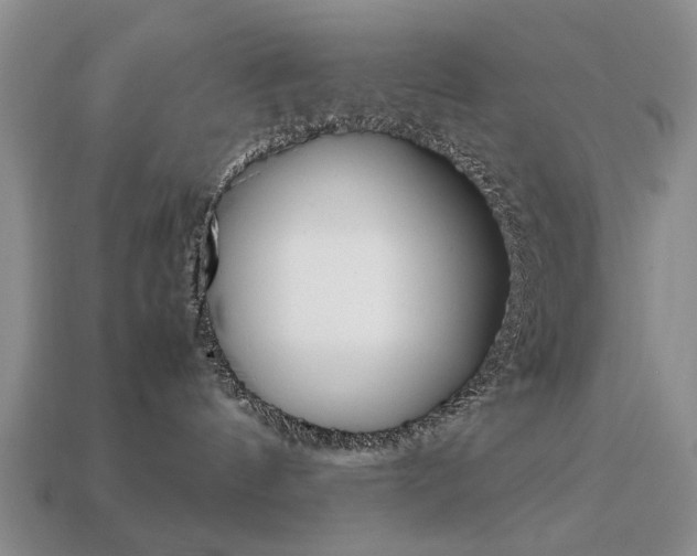 X0000113850144200909241013