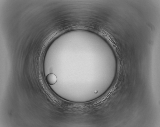 X0000113850145200909241012