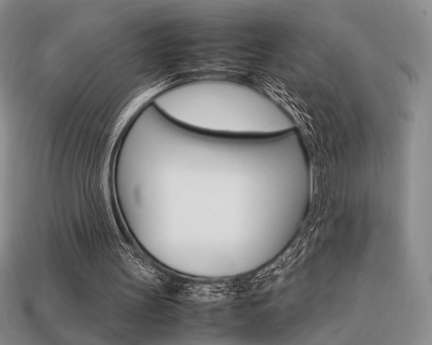 X0000113850147200909241012