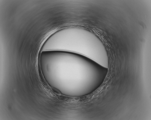 X0000113850148200909241012