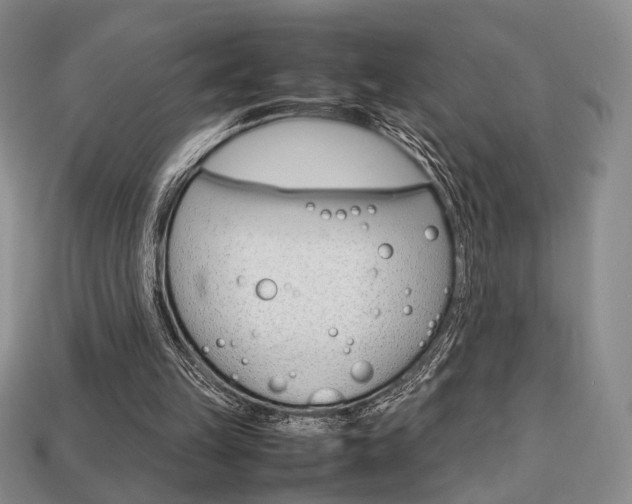 X0000113850149200909241012