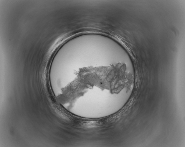 X0000113850151200909241012