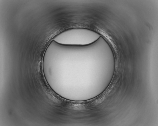 X0000113850153200909241012