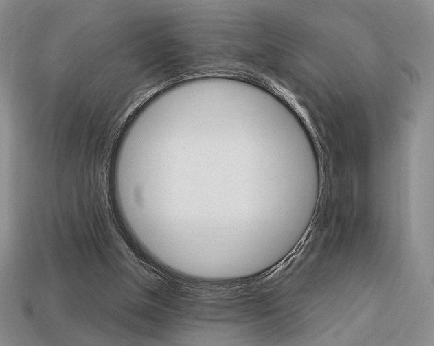 X0000113850154200909241012