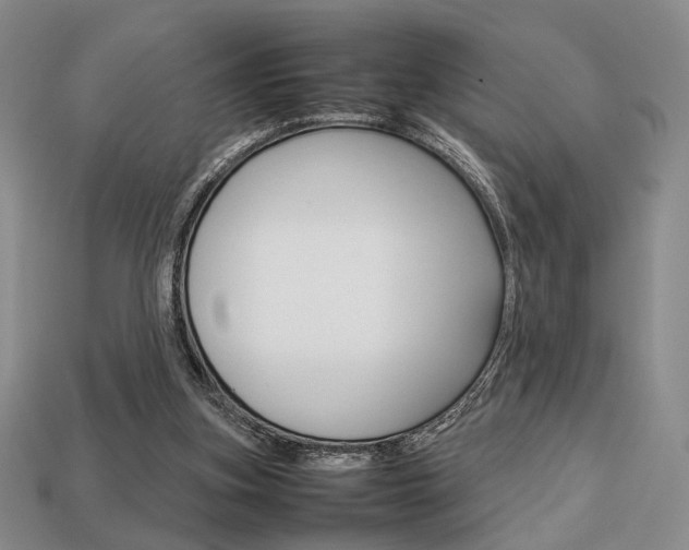 X0000113850155200909241012