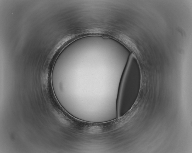 X0000113850156200909241012