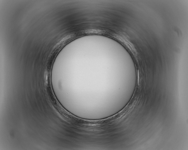 X0000113850157200909241012