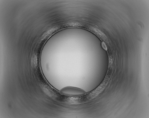 X0000113850158200909241012