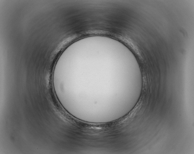 X0000113850159200909241012