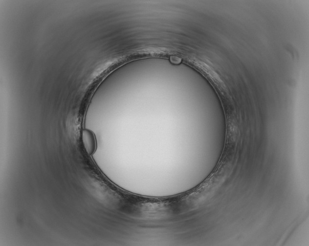 X0000113850160200909241012