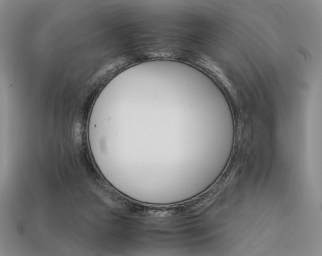 X0000113850161200909241012