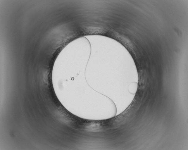 X0000113850162200909241012