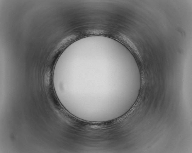 X0000113850163200909241012