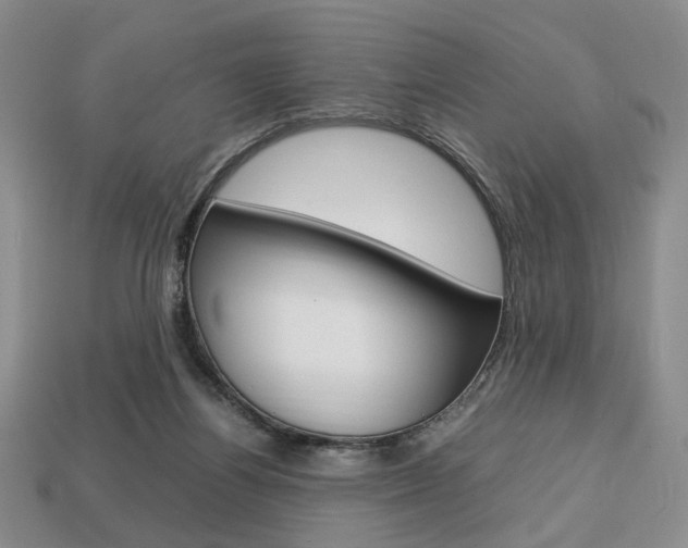 X0000113850164200909241012