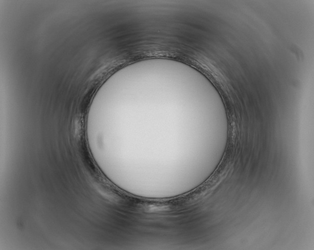 X0000113850165200909241012