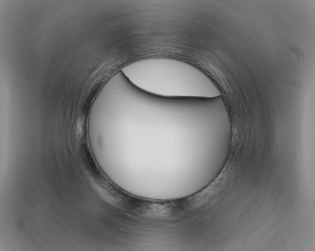 X0000113850166200909241013