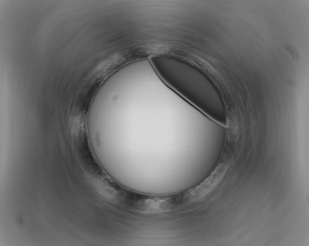 X0000113850172200909241013