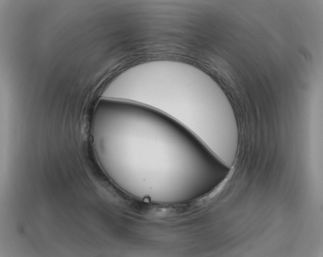 X0000113850174200909241013