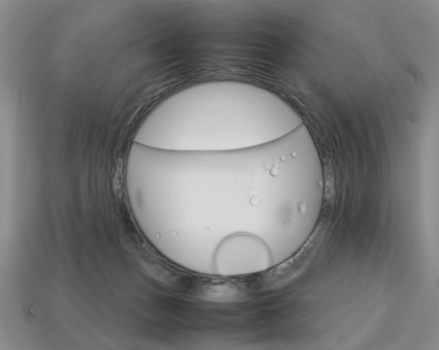 X0000113850175200909241013