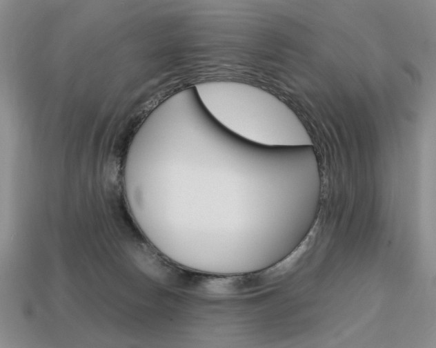 X0000113850178200909241013