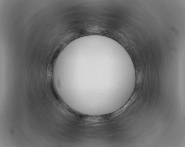 X0000113850179200909241013