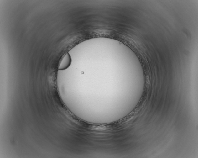 X0000113850181200909241013