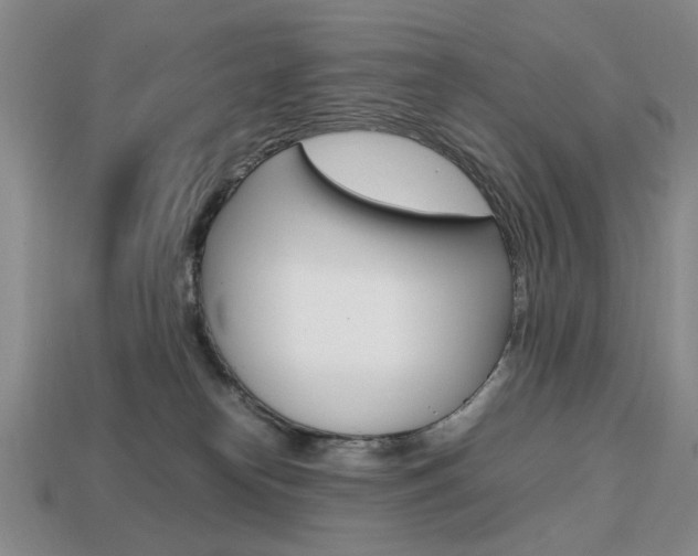 X0000113850182200909241013