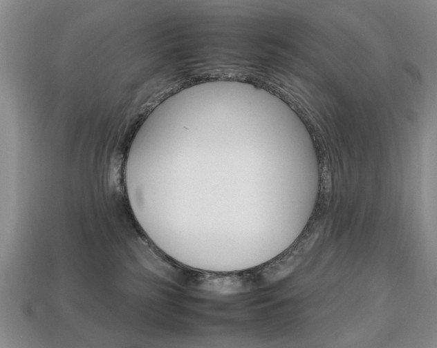 X0000113850185200909241013