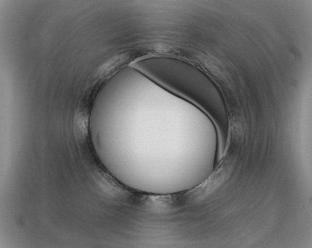 X0000113850188200909241013