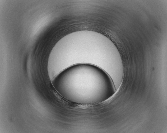 X0000113850190200909241013