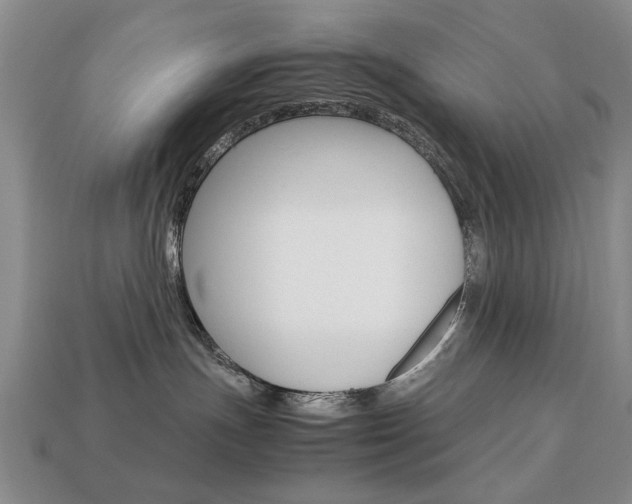 X0000113850191200909241013