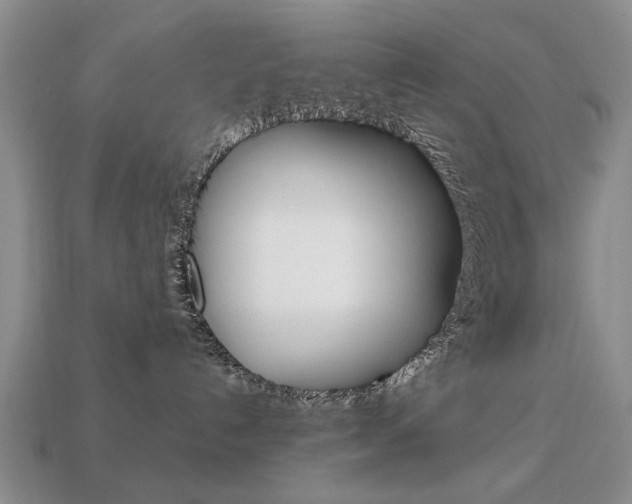 X0000113850192200909241013